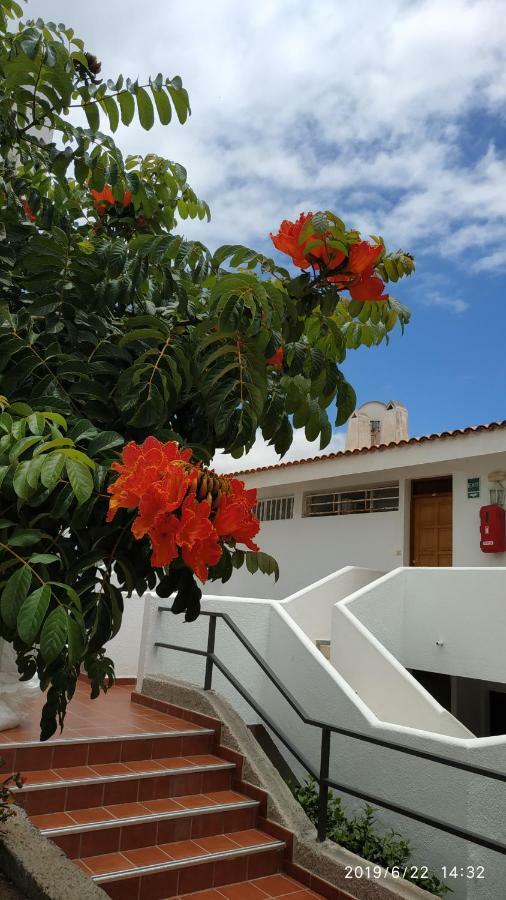 Club El Paradero Playa de las Americas  Eksteriør bilde