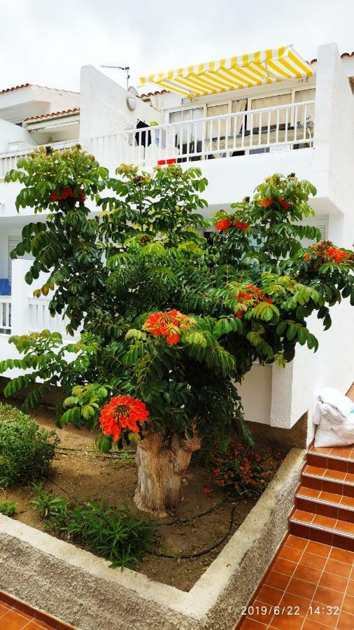 Club El Paradero Playa de las Americas  Eksteriør bilde